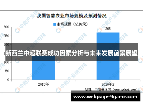 新西兰中超联赛成功因素分析与未来发展前景展望 新西兰中超联赛成功因素分析与未来发展前景展望