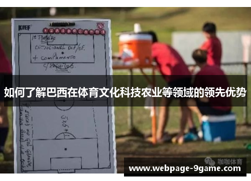 如何了解巴西在体育文化科技农业等领域的领先优势