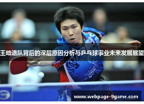 王皓退队背后的深层原因分析与乒乓球事业未来发展展望