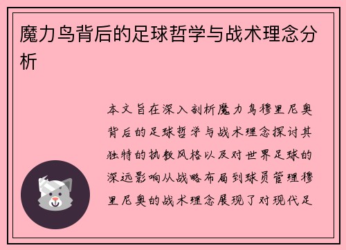魔力鸟背后的足球哲学与战术理念分析